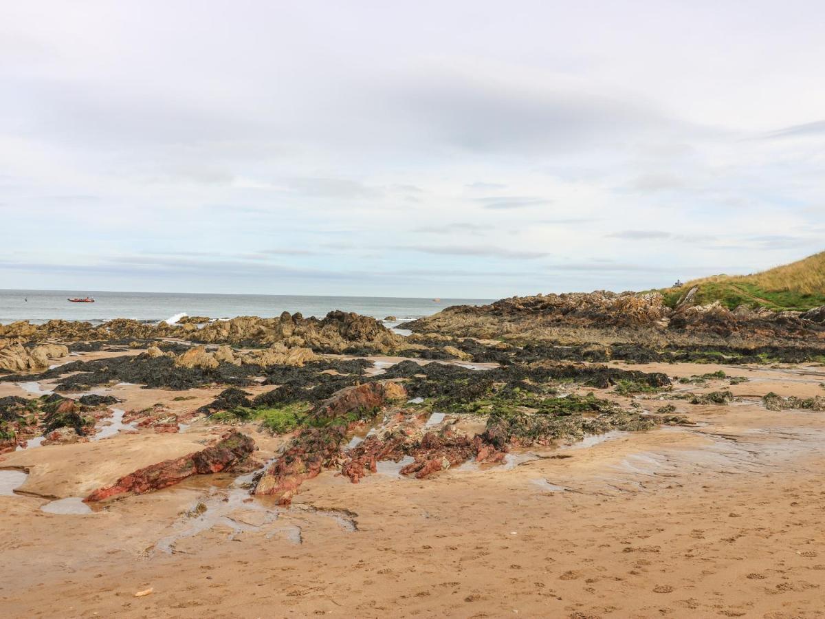 Meadow Lodge Coldingham Exterior photo
